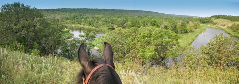 2007-09-16 18-34-07.jpg