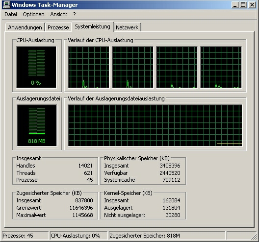 Task Manager just after the error