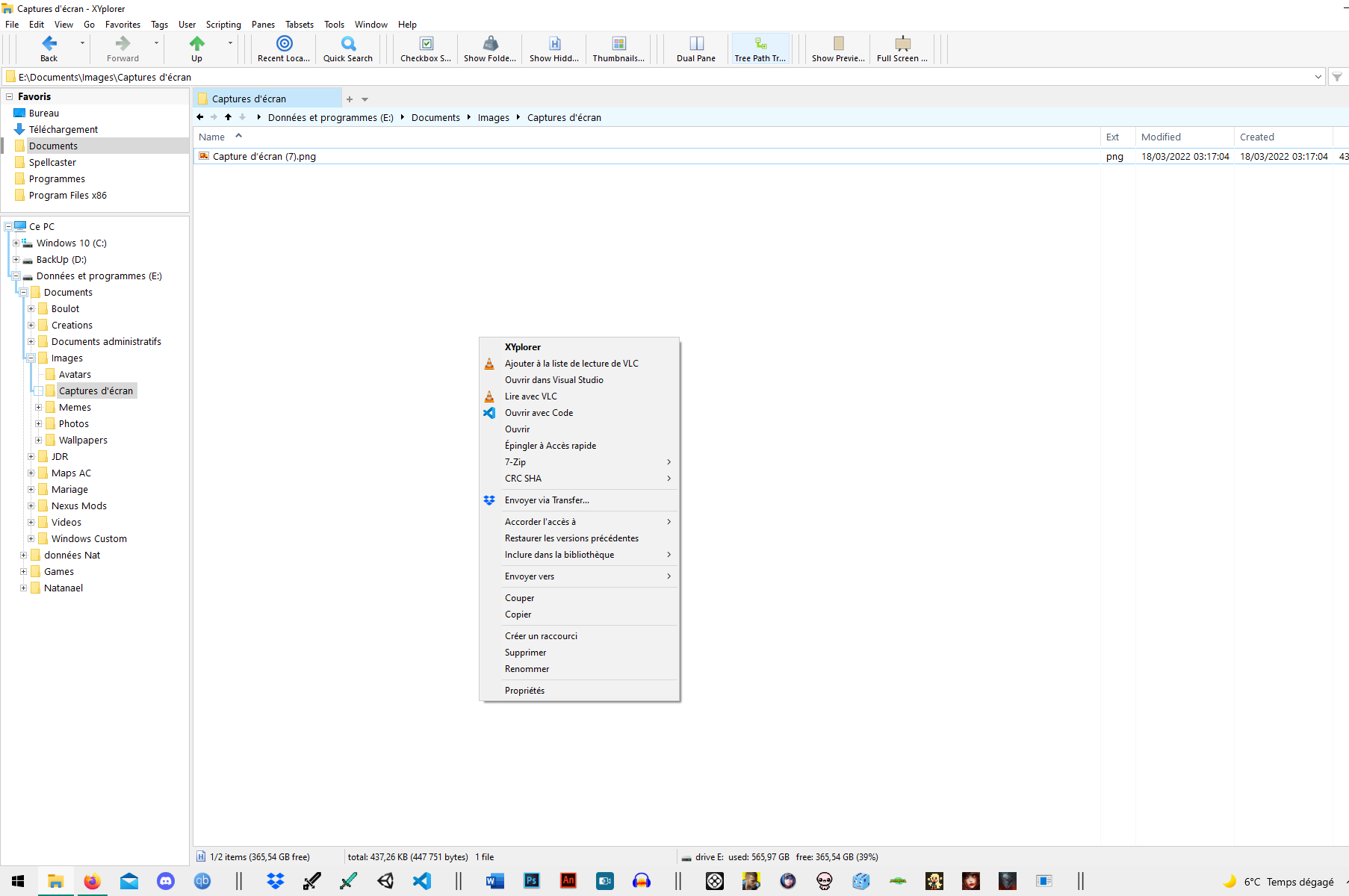 Capture d’écran (10).png