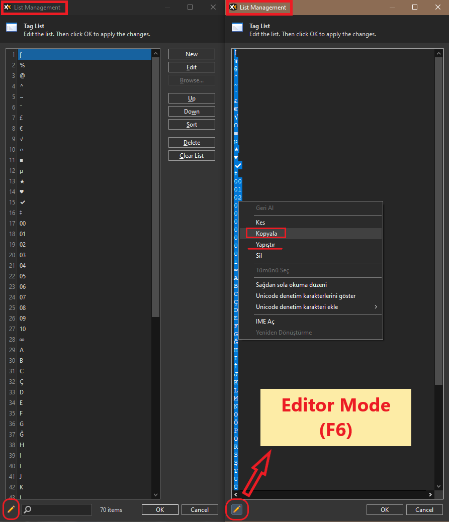 Editor Mode (F6).png
