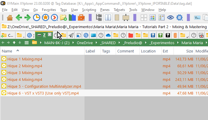 Custom button - Command with caption not running directly anymore.gif