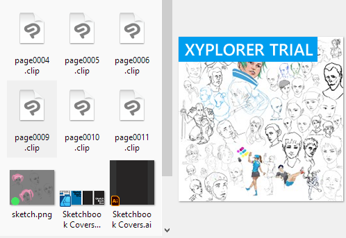 230416_XYplorer_default_ini.png