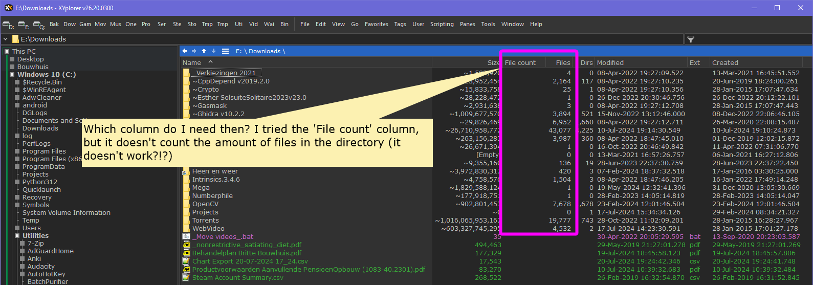 XYPlorer Column Doesn't Work.png