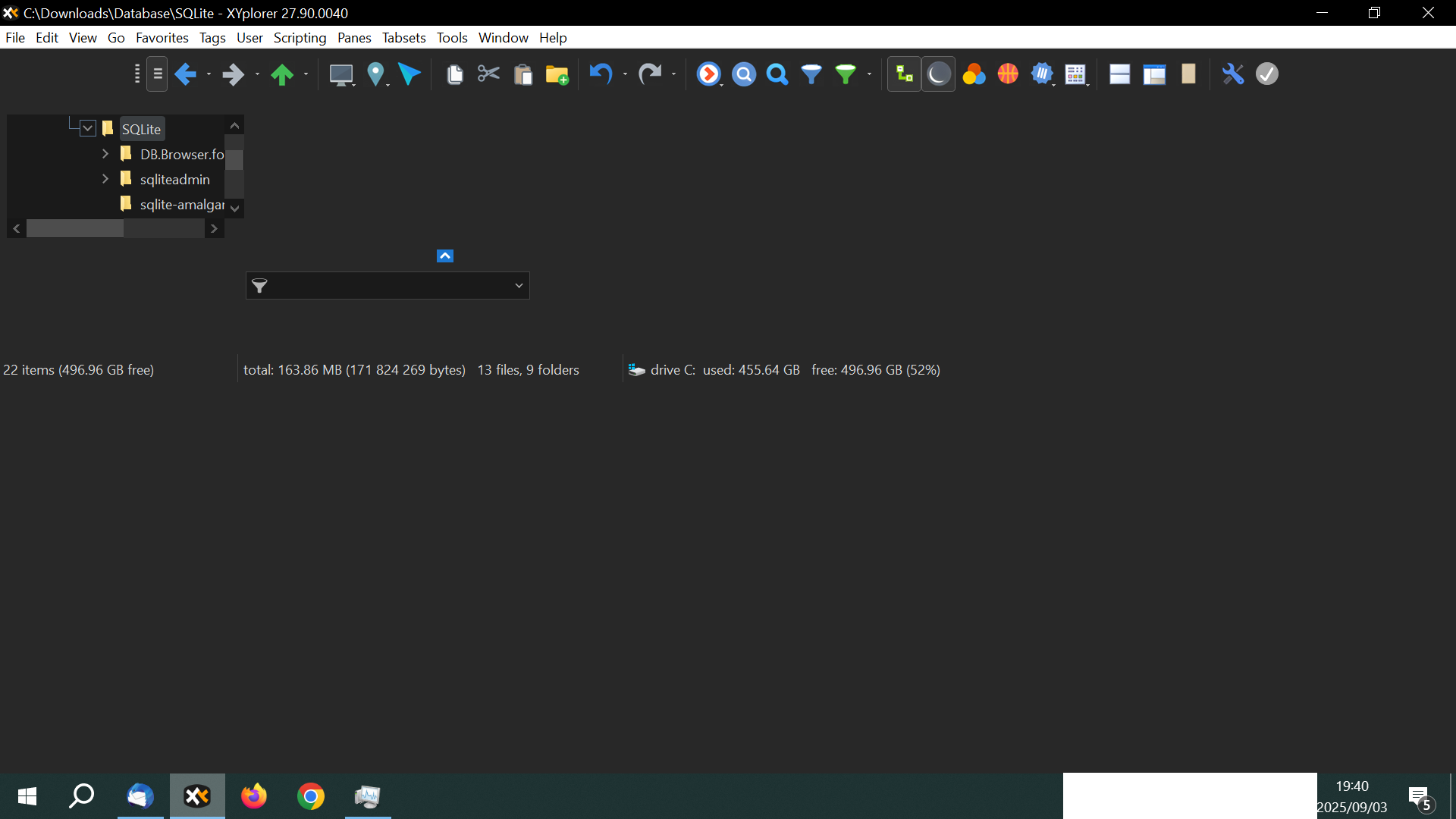 XYplorer startup bug 0040.png