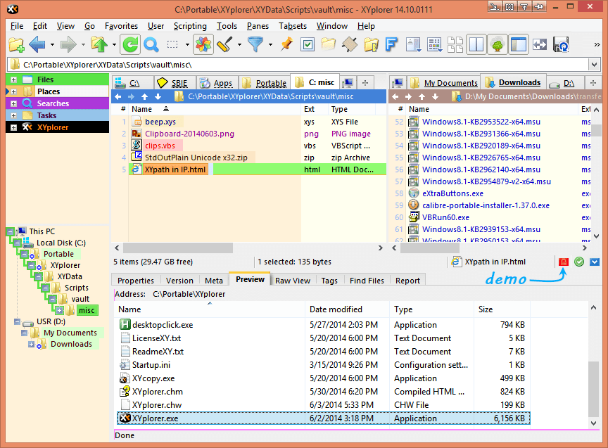 pictured: Preview Info Tab locked to a file.