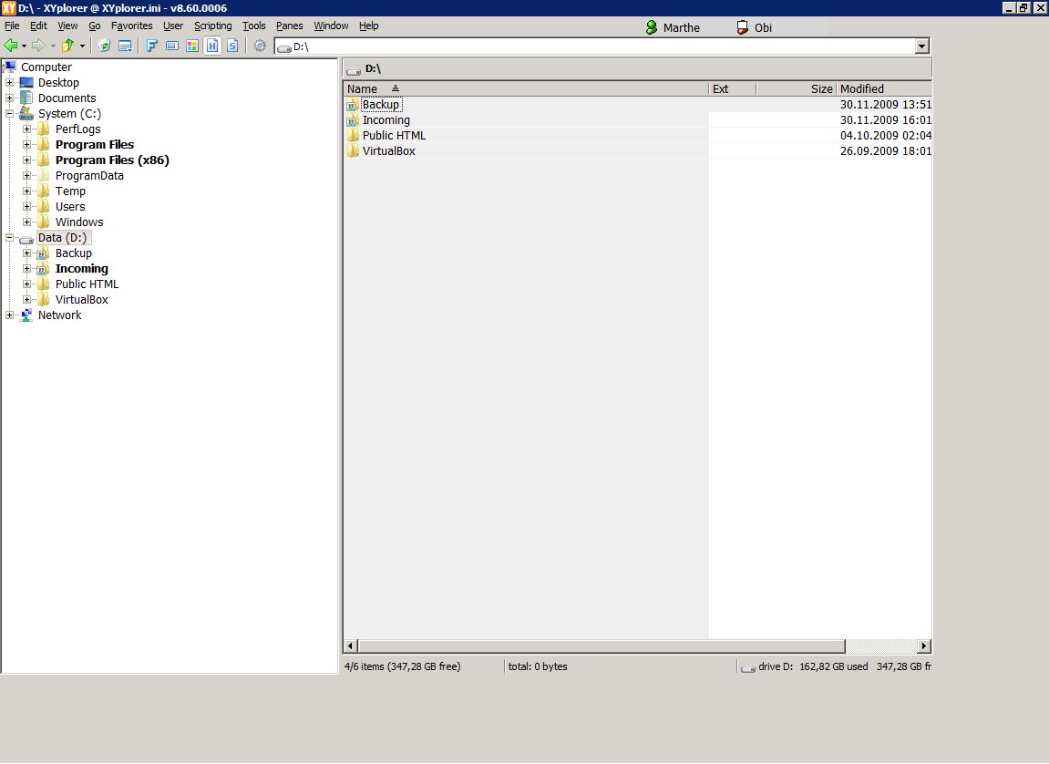 XYplorer Window after resolution change