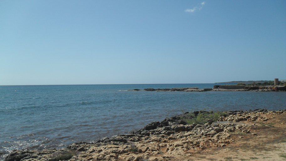 scaled to 25 percent.png